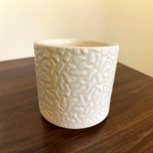 Coral Whisper Ceramic Planter