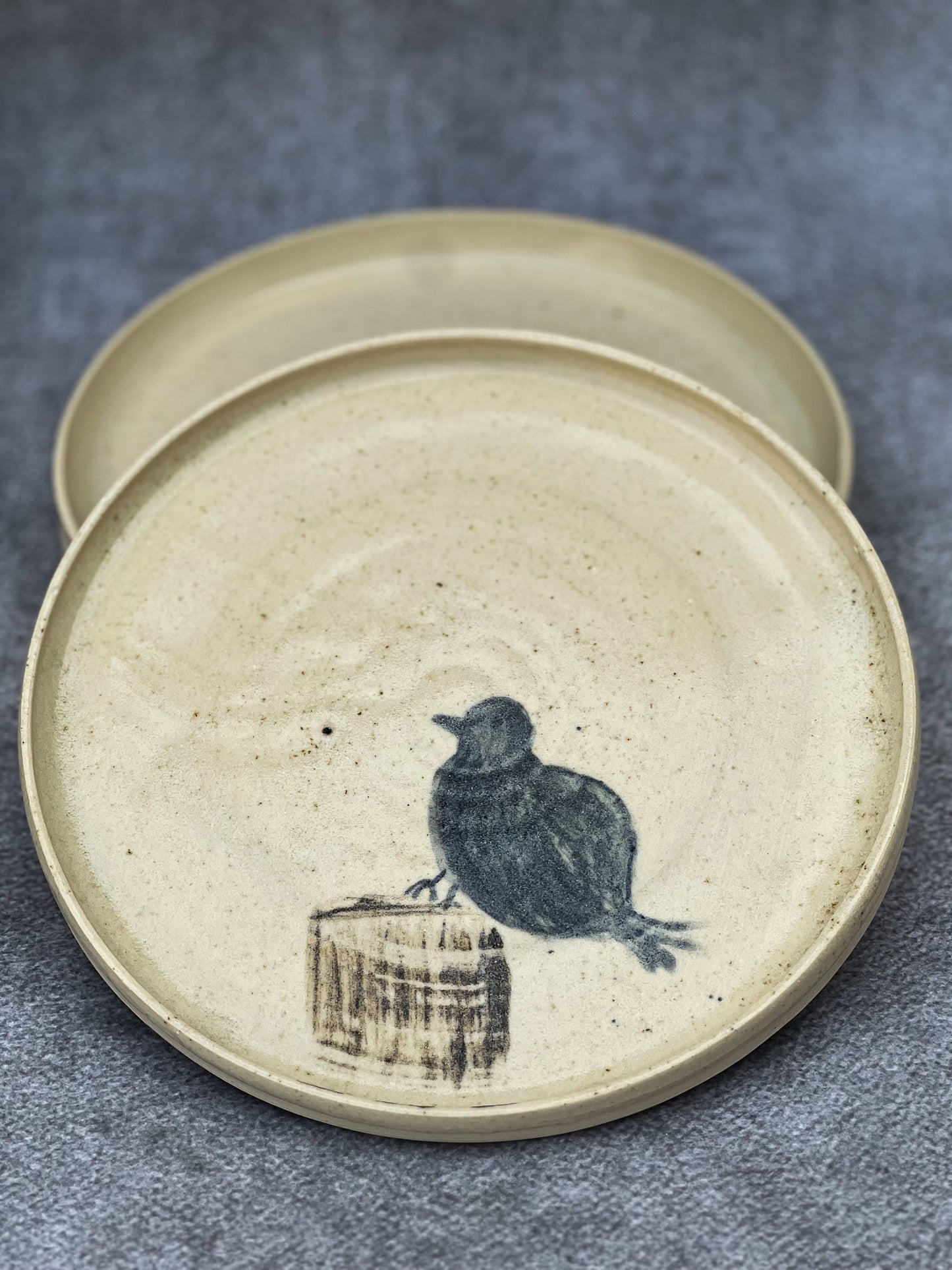 Avian Elegance Plates by Ritika Anand